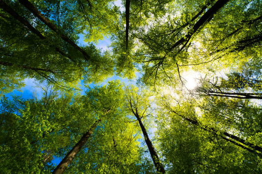 How Hormones, Environment, Medications, and Lifestyle Impact Your Skin