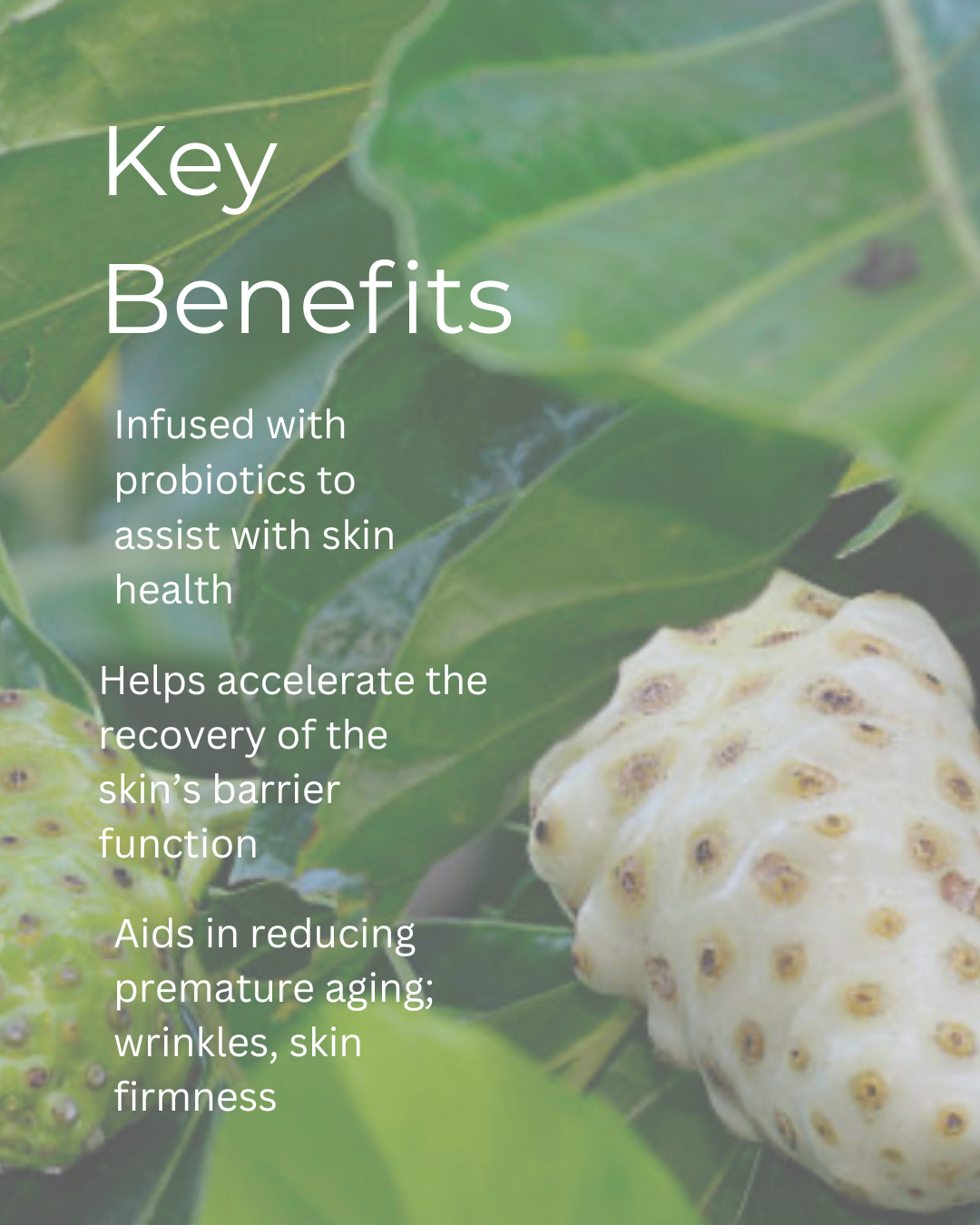 Probiotic Calming Cream